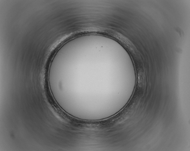 X0000113360436200910061043