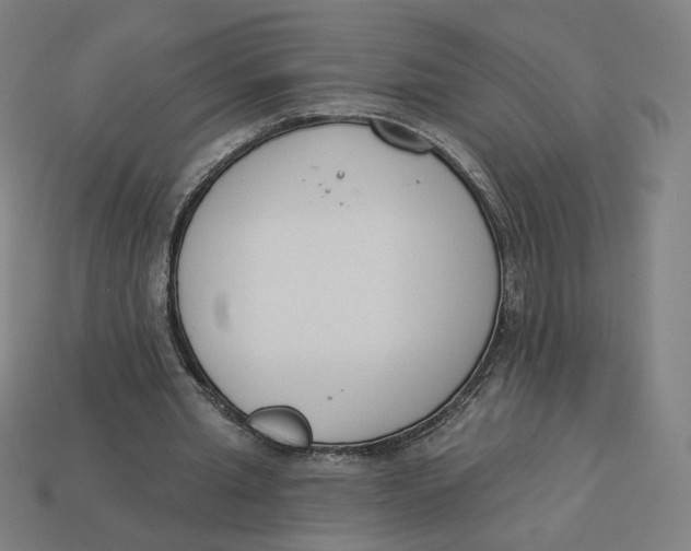 X0000113360437200910061043