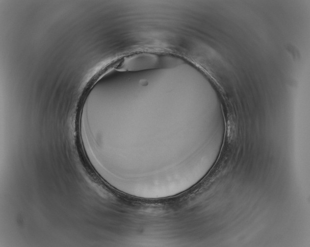 X0000113360438200910061043