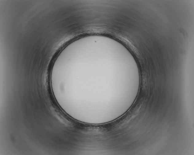 X0000113360439200910061043