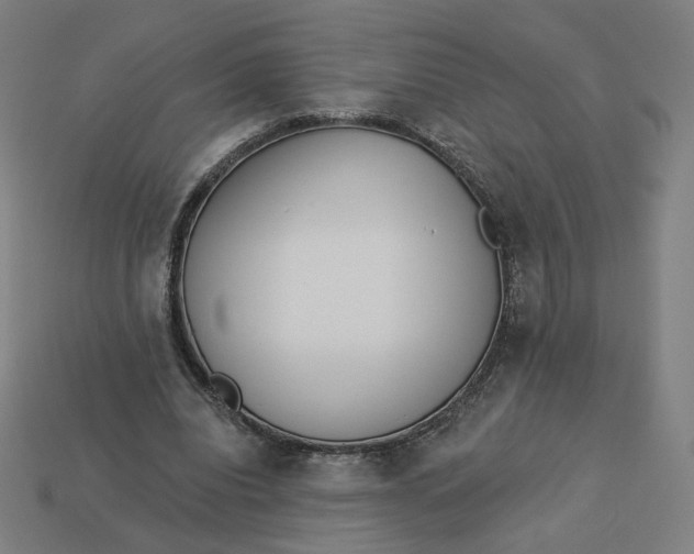 X0000113360440200910061043