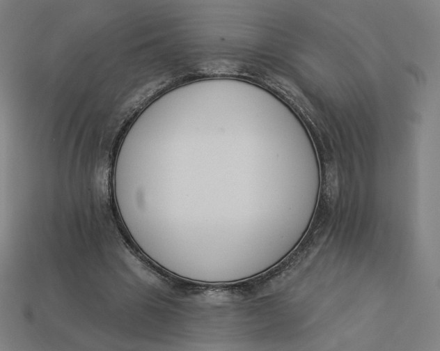 X0000113360441200910061043