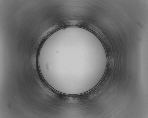 X0000113360442200910061043