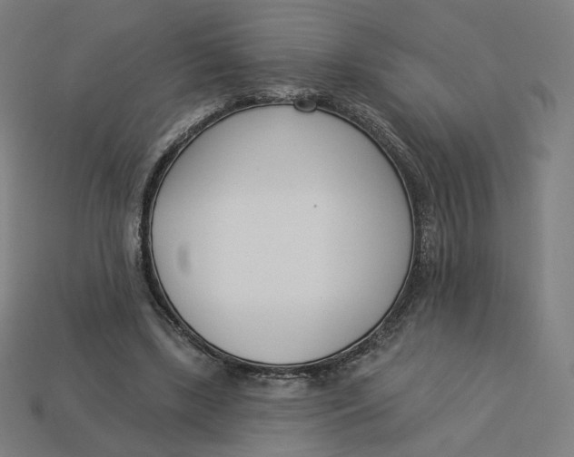 X0000113360443200910061043