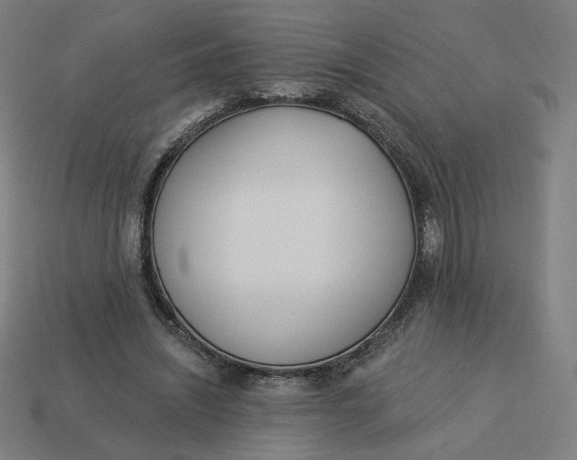 X0000113360444200910061043