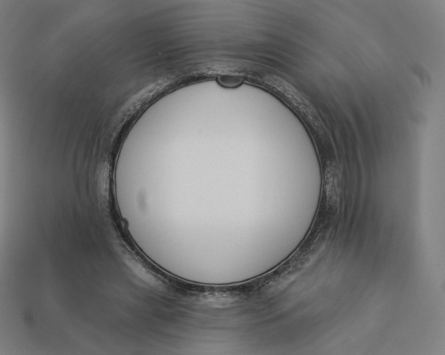 X0000113360445200910061043