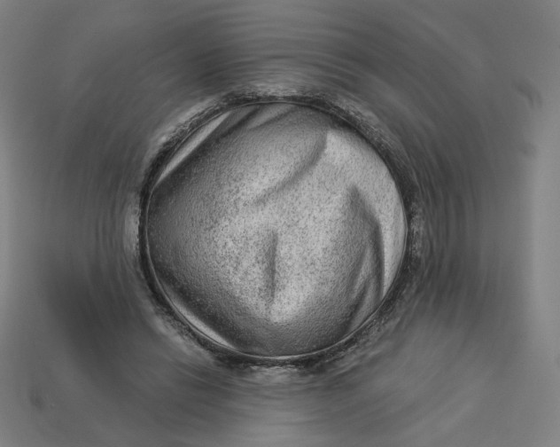 X0000113360446200910061043