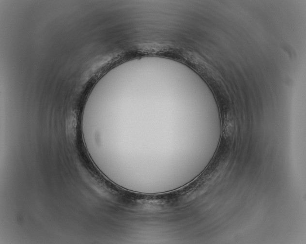 X0000113360448200910061043