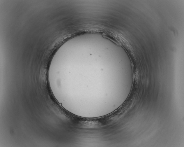 X0000113360449200910061043