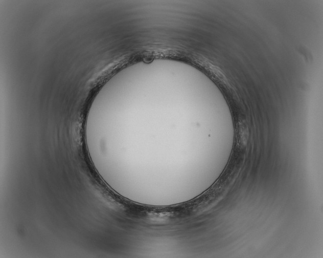 X0000113360450200910061043