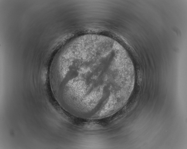 X0000113360451200910061043