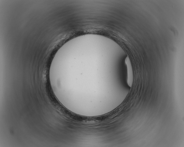 X0000113360452200910061043