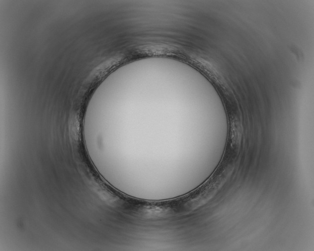 X0000113360453200910061043