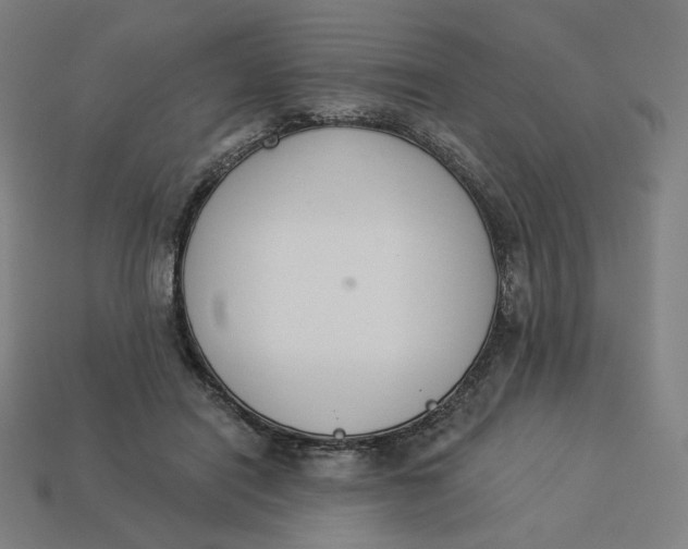 X0000113360454200910061043