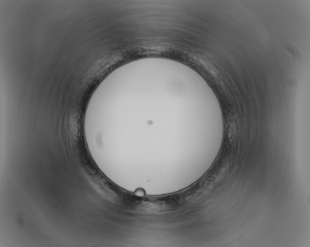 X0000113360455200910061043