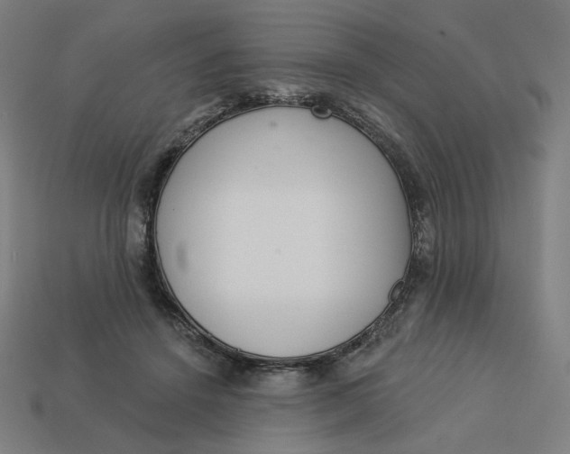 X0000113360456200910061043