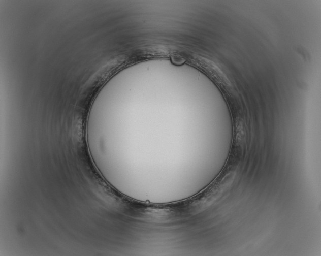 X0000113360457200910061043