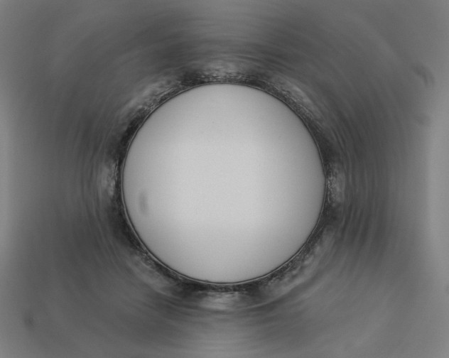 X0000113360458200910061043