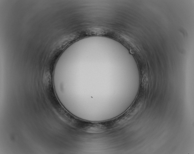 X0000113360459200910061043