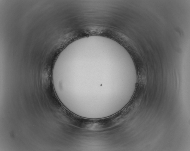 X0000113360460200910061043