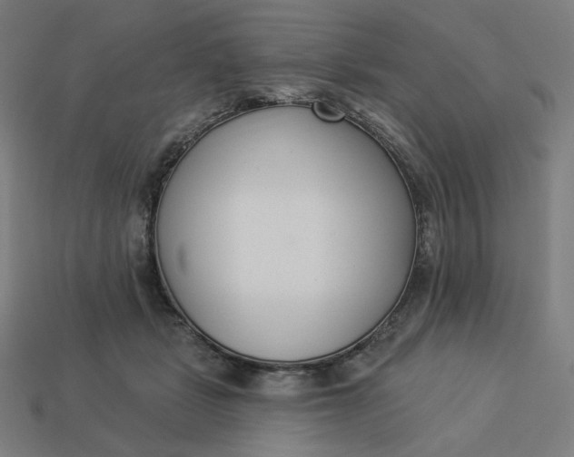 X0000113360461200910061043