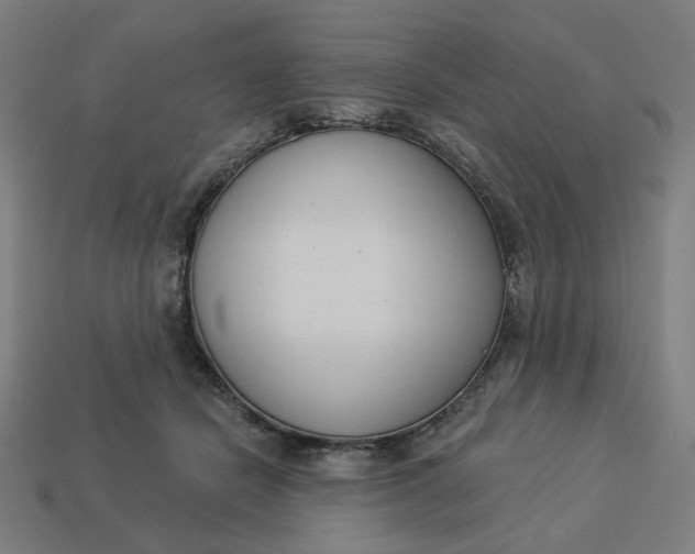 X0000113360462200910061043