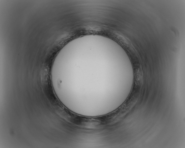 X0000113360463200910061043