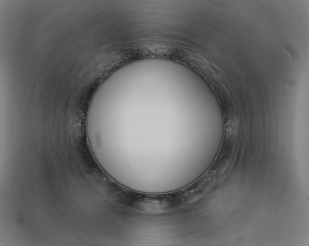 X0000113360464200910061043