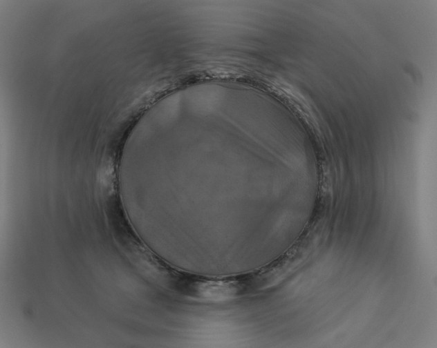 X0000113360465200910061043