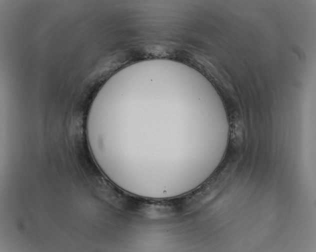 X0000113360466200910061043