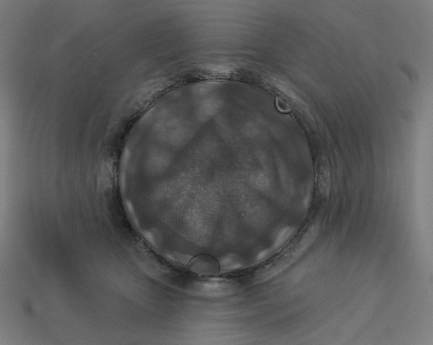 X0000113360467200910061043