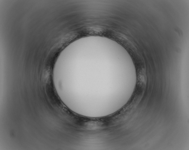 X0000113360468200910061043