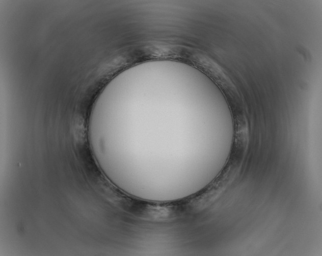 X0000113360469200910061043