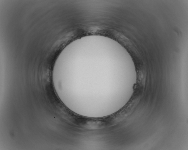 X0000113360470200910061043