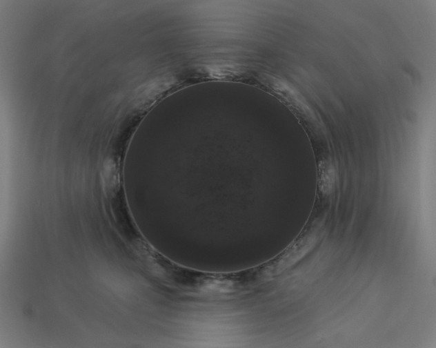 X0000113360471200910061043