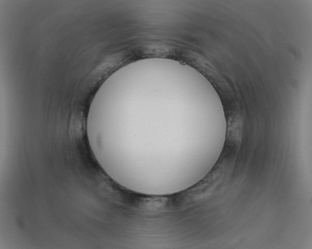 X0000113360474200910061043