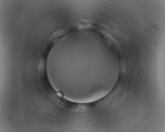 X0000113360475200910061043