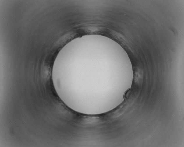 X0000113360476200910061043