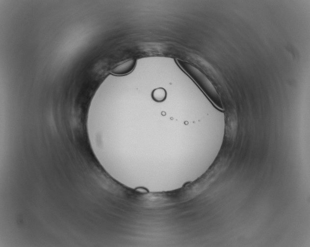 X0000113360477200910061043