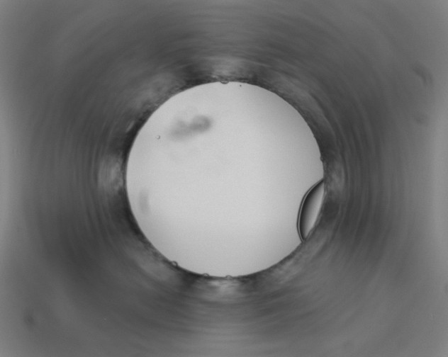 X0000113360478200910061043