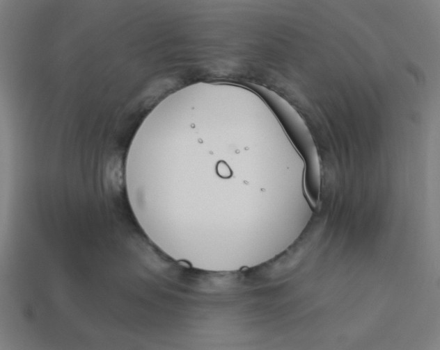 X0000113360479200910061044