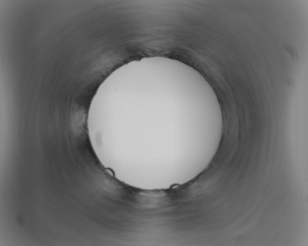 X0000113360480200910061044