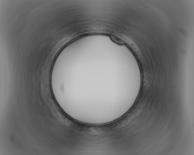 X0000113360481200910061043