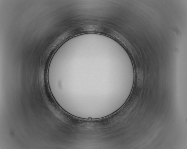 X0000113360482200910061043