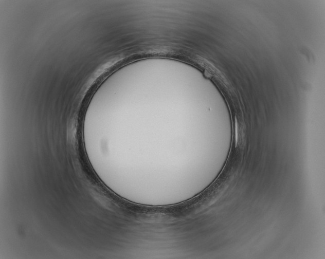 X0000113360483200910061043