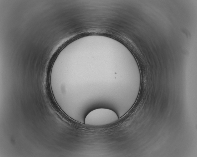 X0000113360484200910061043