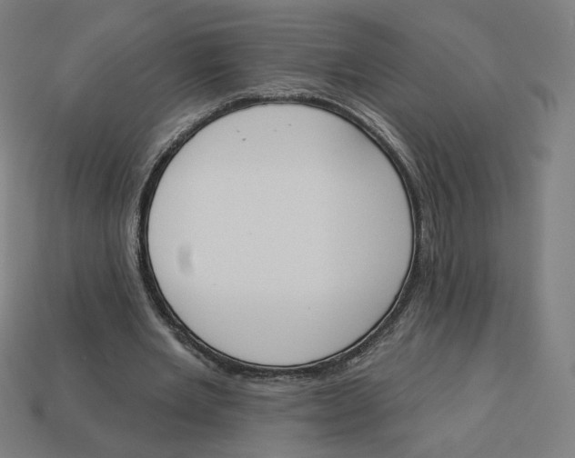 X0000113360485200910061043