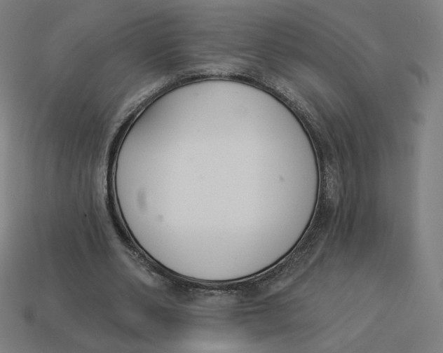 X0000113360486200910061043