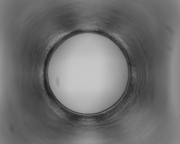 X0000113360487200910061043