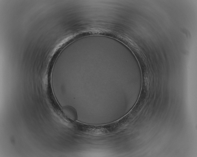 X0000113360488200910061043